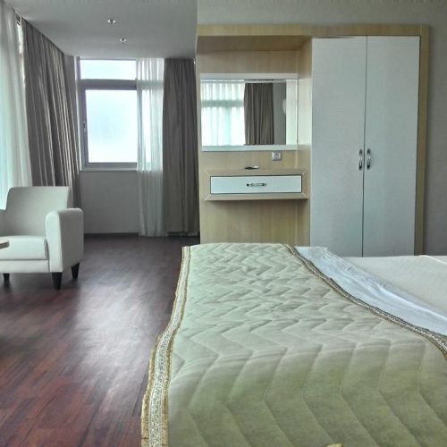 219561539 Adana Otelleri Güney Otel Adana